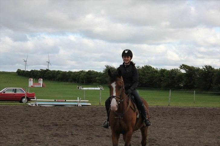 Dansk Varmblod Unique (Tulle)<3 billede 11