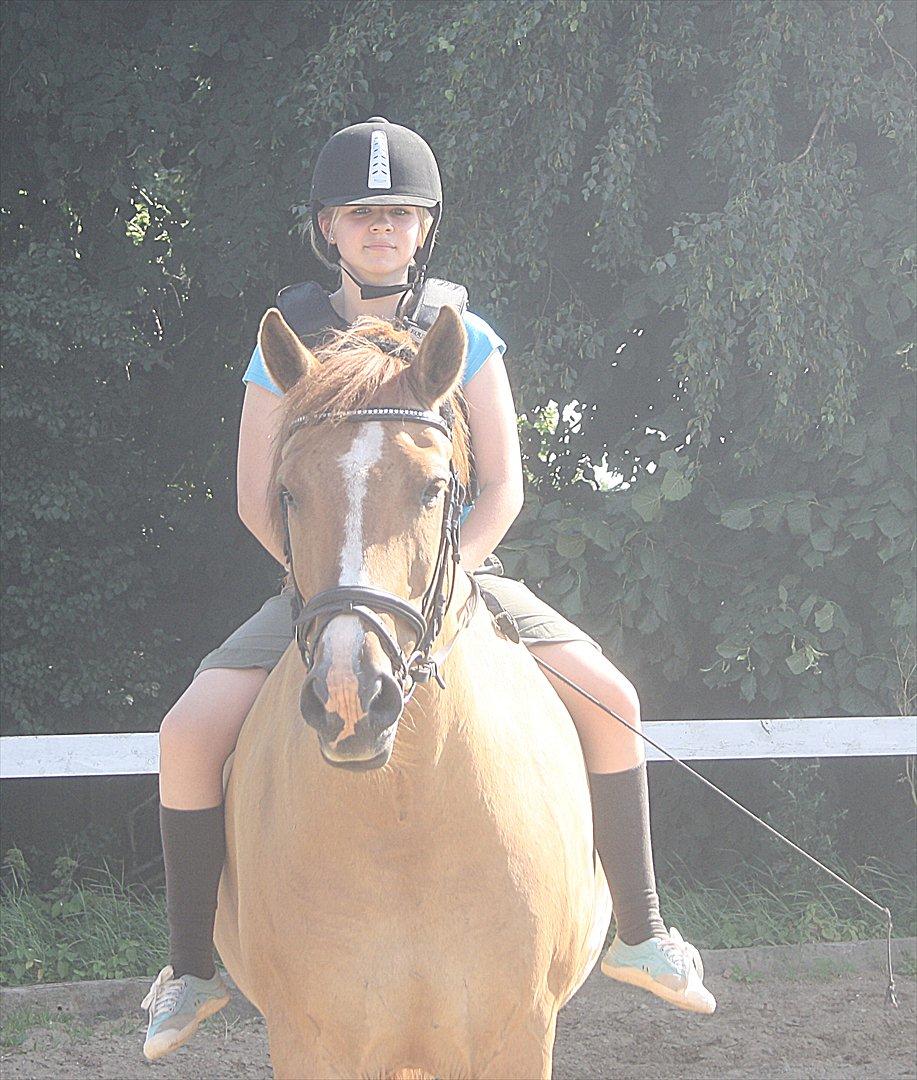 Anden særlig race Sir Thomas Ekipazas - Tihi dig kan jeg godt li <3 billede 15