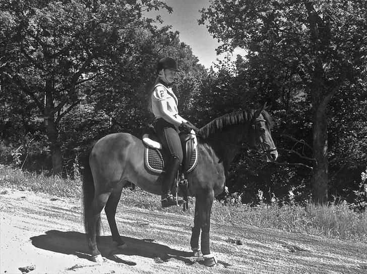 Tysk Sportspony Dolce *B-pony* Solgt :'( - Her er lige et lille billede af min fantastiske stjerne pony og hendes nye rytter Amanda.. ♥ billede 20