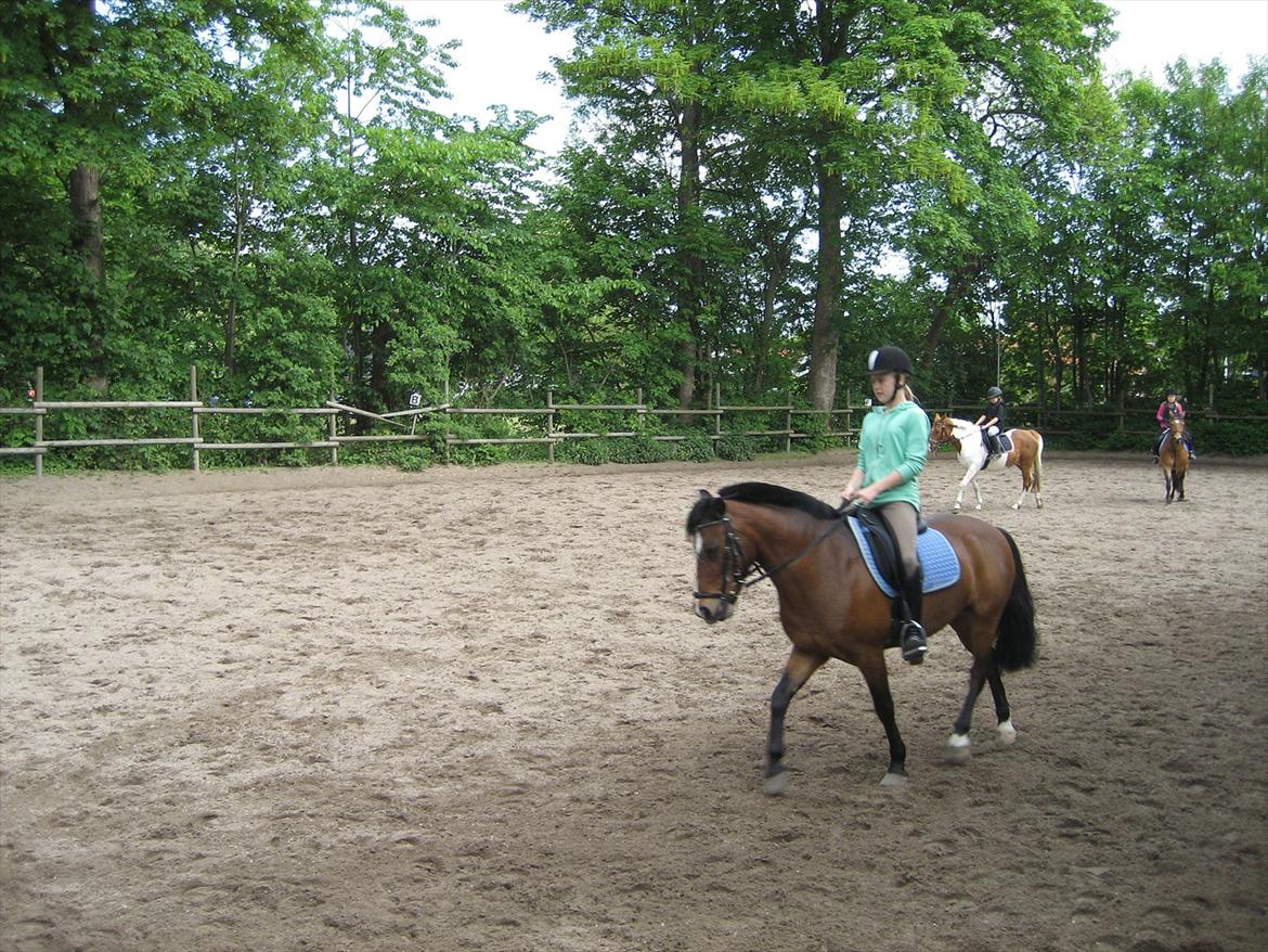 Anden særlig race Lauritz - <3
 billede 15