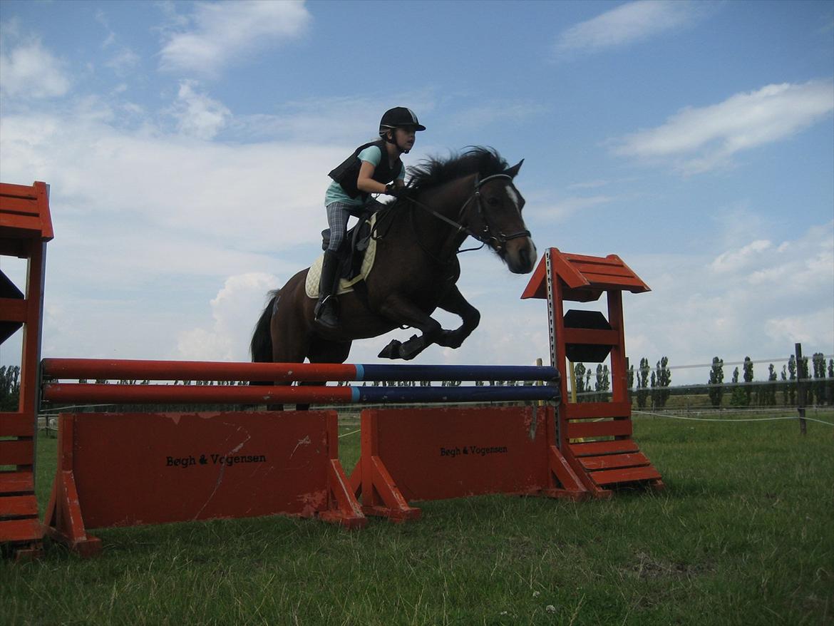 Anden særlig race Lauritz - 2 gang jeg sprang på Lauer billede 16