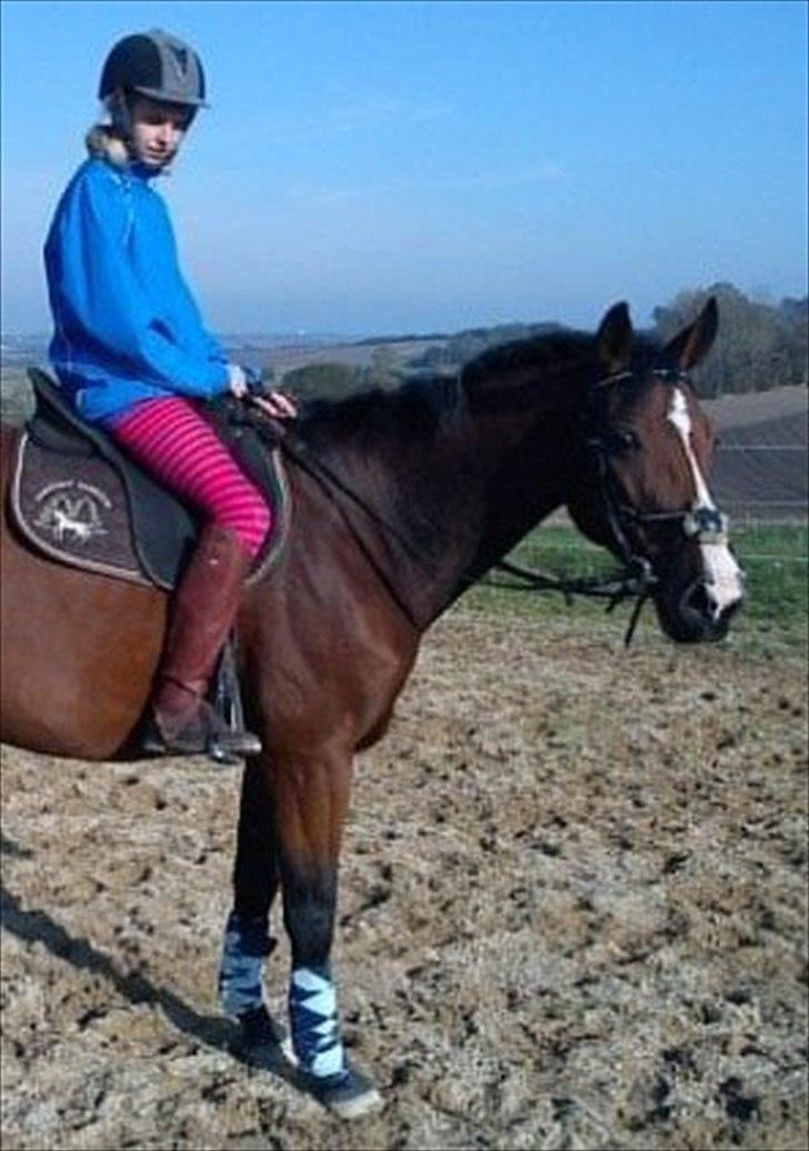 Westfaler Lady Litla W - Min pony - - En af de første gange vi rad sammen.. :D billede 4
