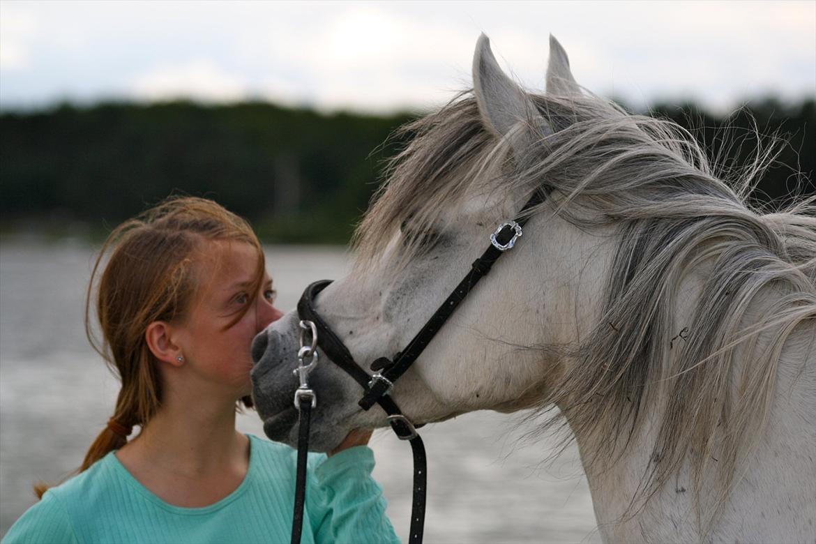 Anden særlig race Fritz - Mig og Fritz på stranden<3 billede 6