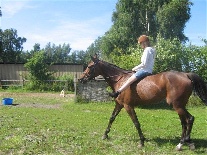 Traver Nicebib G  - ude og ride :) billede 15