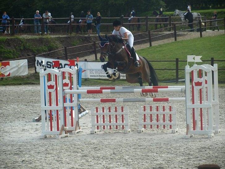 Dansk Varmblod Bøgegårdens "Quick" - LA2** - Stall Melby C-stævne - 2011
Foto: Sarah Steen billede 1