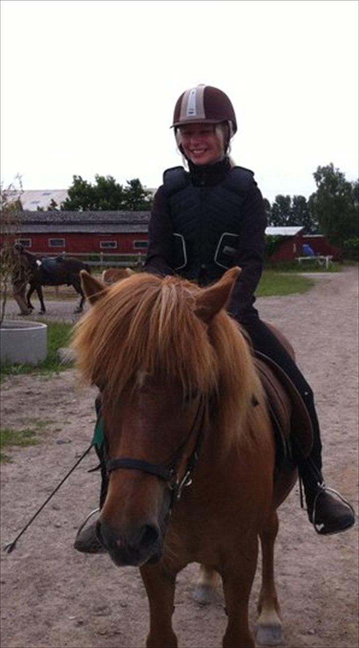 Islænder Düfa fra Attemosegård - Mig og Düfa <3 billede 4