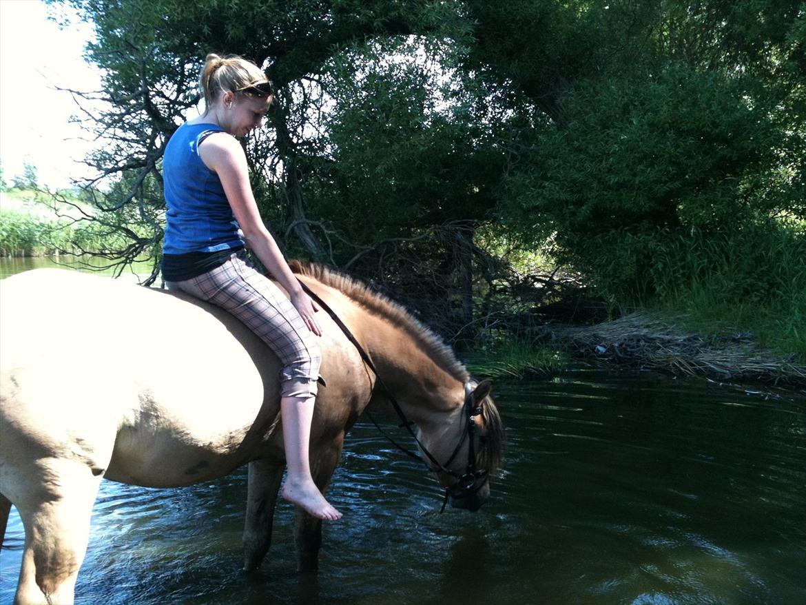 Anden særlig race Lukas - Det er ret spændende det der med at bade! billede 17