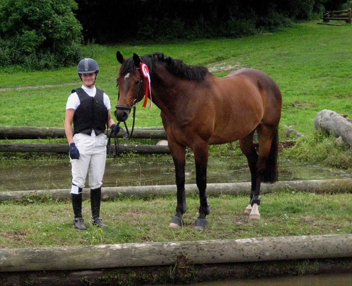 Dansk Varmblod Cavato - Cavato og min debut i military juli 2011. CNC70 billede 17