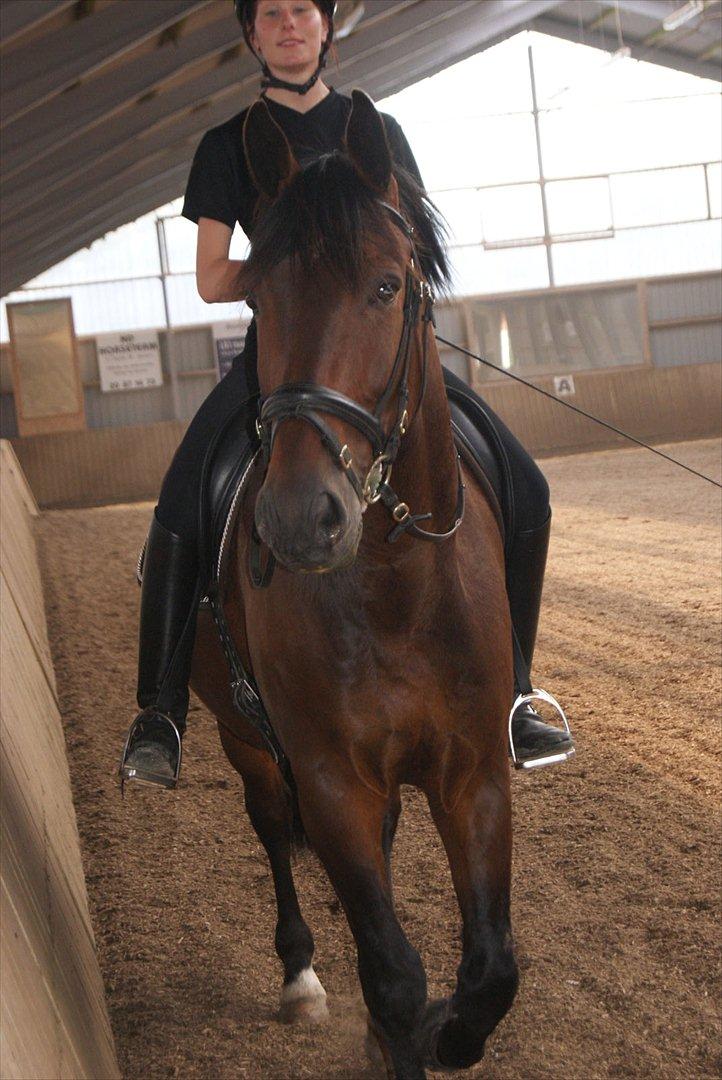 Oldenborg Taison billede 3