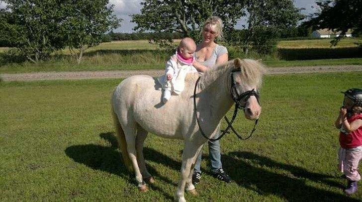 Anden særlig race Perle - Tia og Perle billede 11