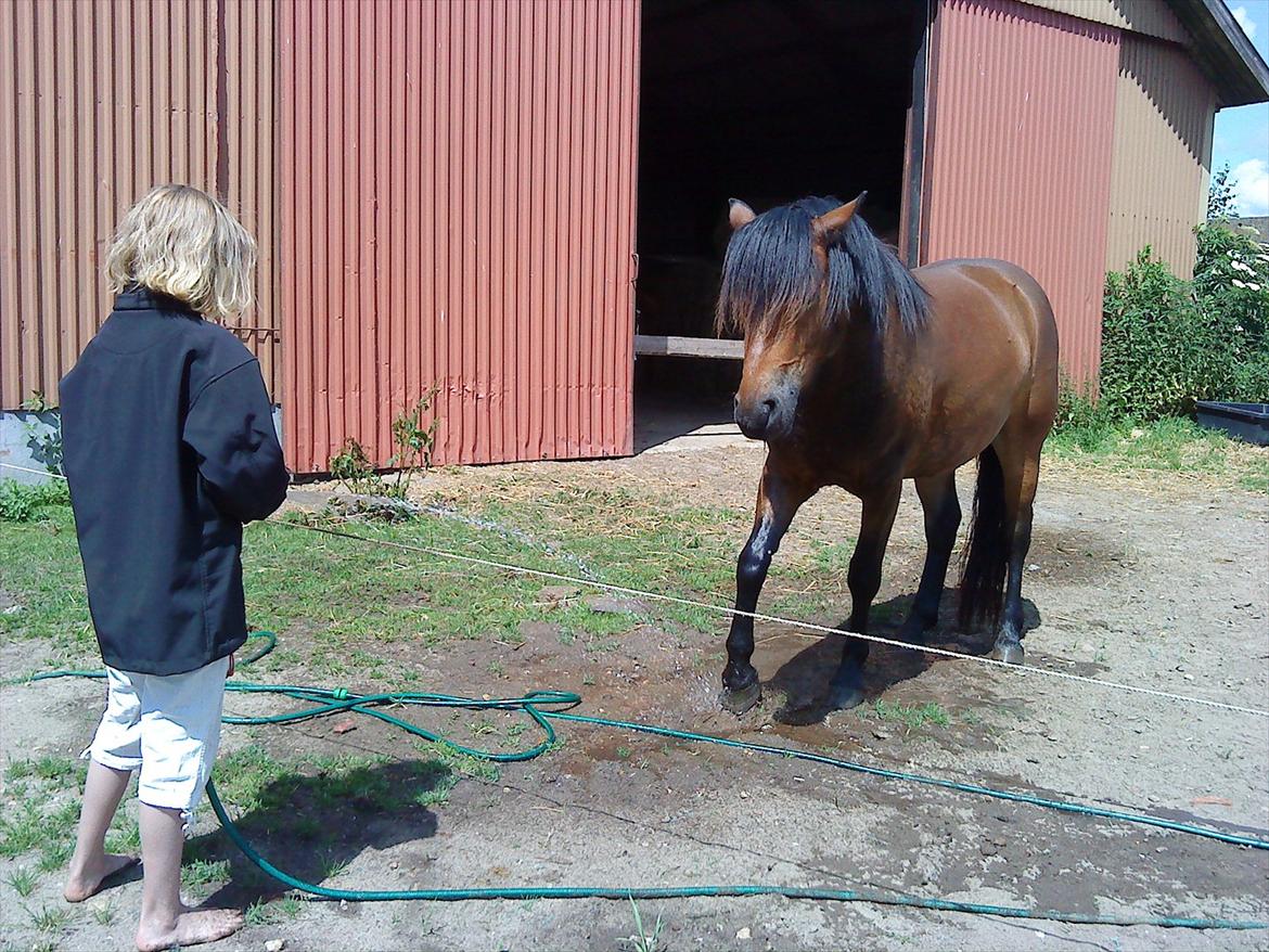 Connemara Baltazar The Superstar billede 9