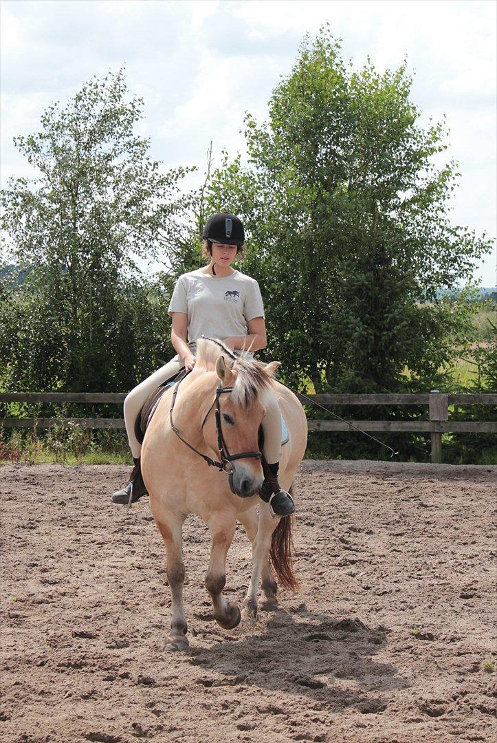 Fjordhest Ingegårds Hejst - Vi hygger lidt på banen :D

Billede af en af Julie'rne(Husker ikke hvilken? :P) billede 19