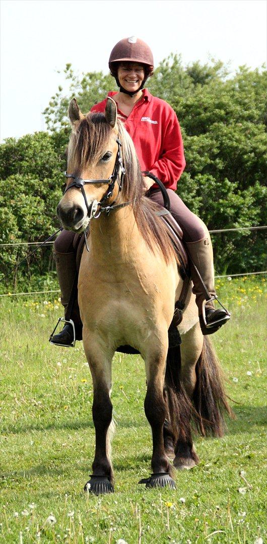 Anden særlig race Apollo , udlånt/solgt på afbetaling - Bøllen og jeg billede 4