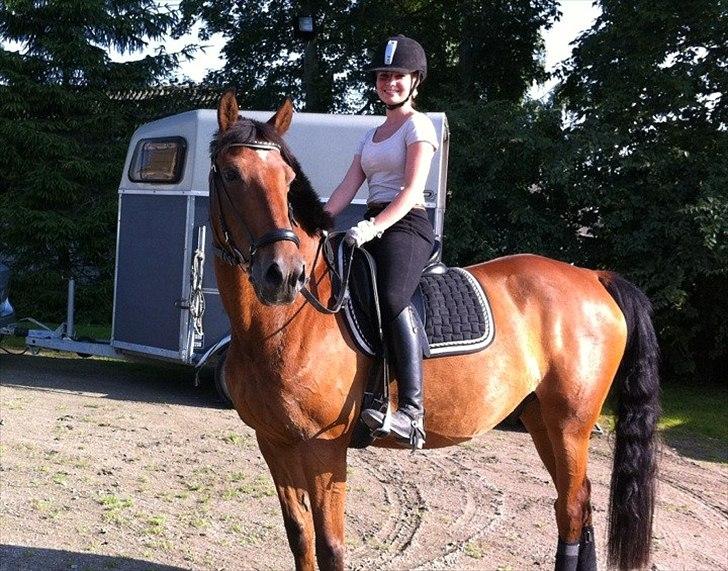 Anden særlig race  Zaki " mit alt!" billede 15