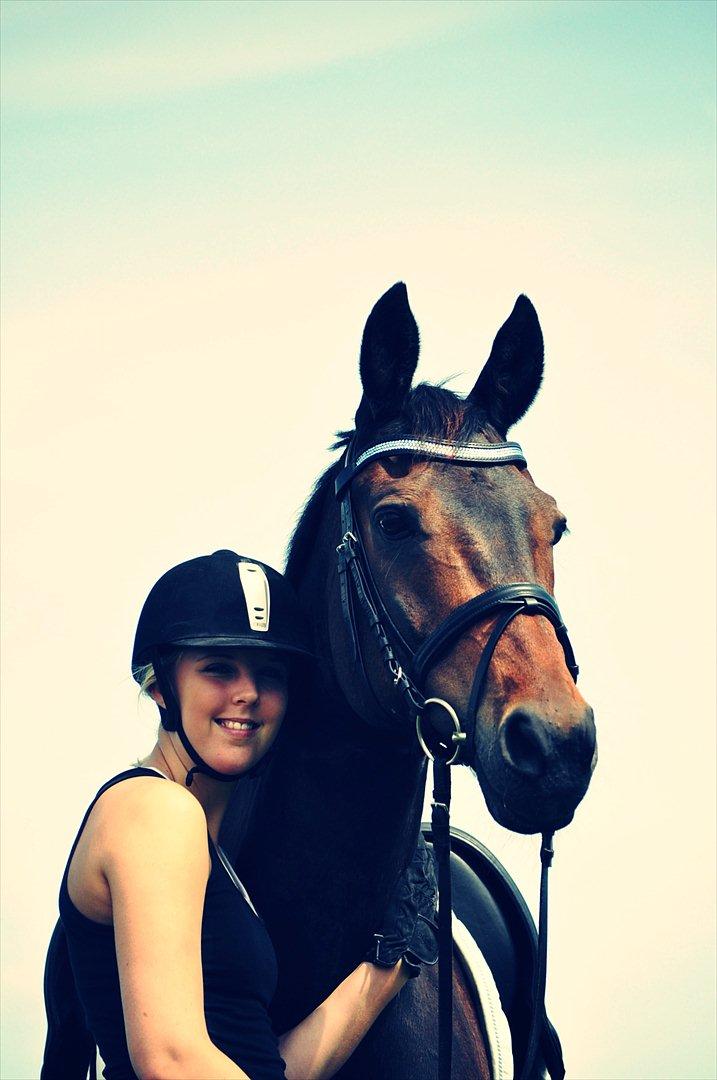 Anden særlig race May Piccolo *STJERNEHEST* billede 19