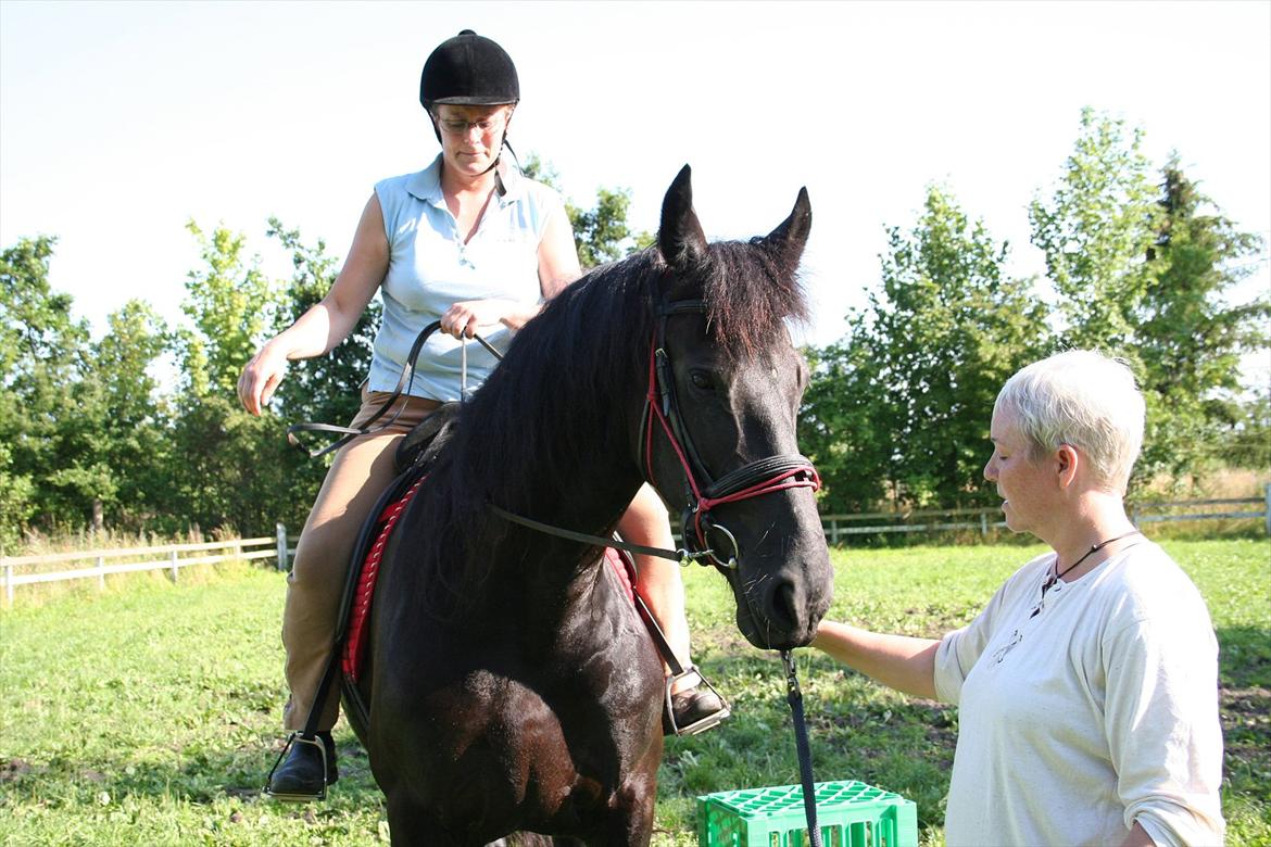Frieser Odessa - Bolette var den første der satte sig op billede 11