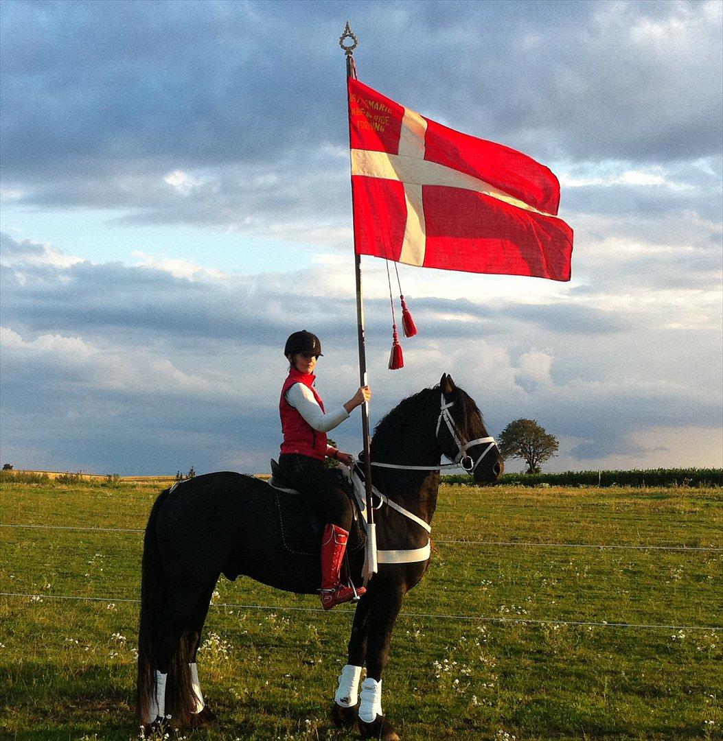 Frieser Zeus Fan Stennissegaard *SOLGT* billede 3