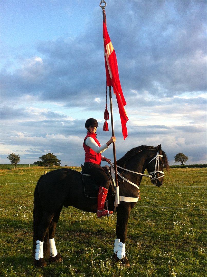Frieser Zeus Fan Stennissegaard *SOLGT* billede 4