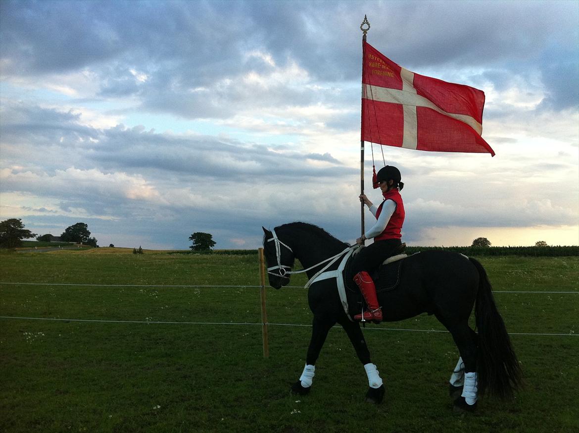 Frieser Zeus Fan Stennissegaard *SOLGT* billede 5