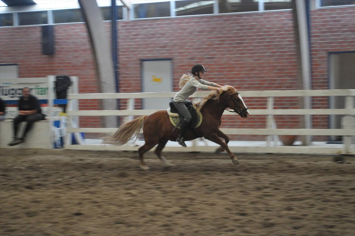 Anden særlig race Asterix † - Når vi fræsser ned af langsiden :P billede 11