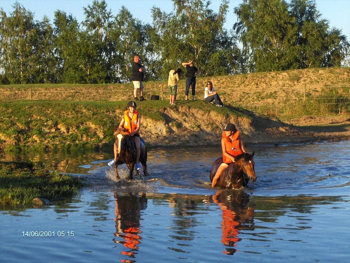 Anden særlig race Asterix † - Plaske, plaske :D billede 12