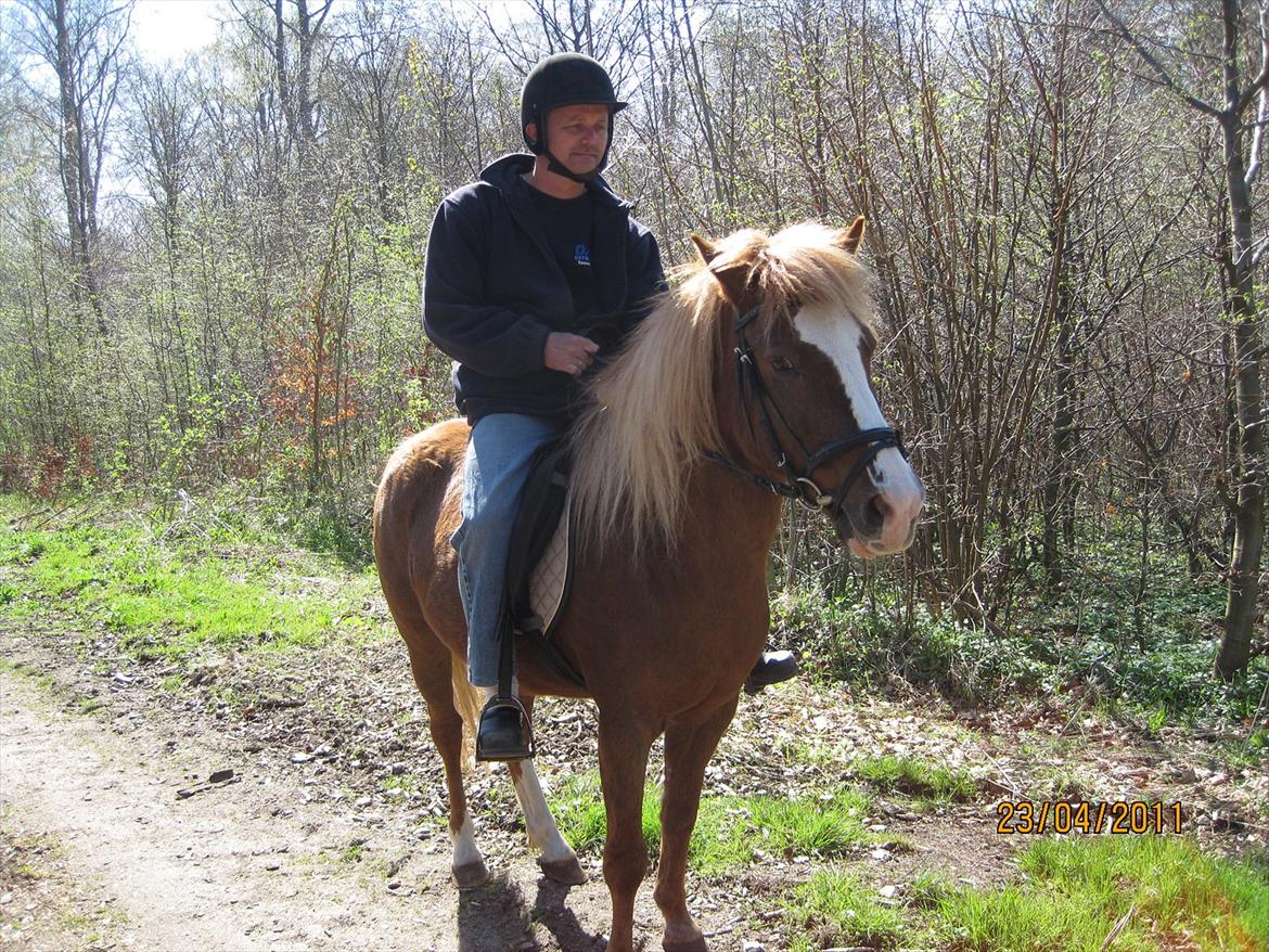 Anden særlig race Asterix † - Da daddyen lige skulle med ud på en lille ridetur :D billede 15