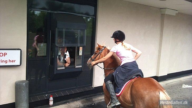 Anden særlig race Asterix † - Da vi red til Mac'en i bitless (:  billede 16