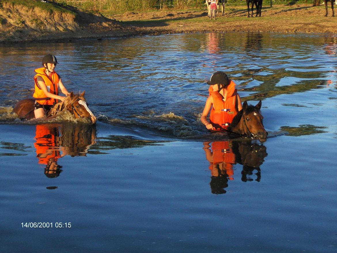 Anden særlig race Asterix † - En lille hyggelige svømmetur :D billede 18
