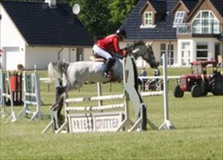 Tysk Sportspony AMERICAN JACKPOT (AMIGO) - Amigo & Mig - Morsø 2011.
Foto: Regitze Andersen. billede 4