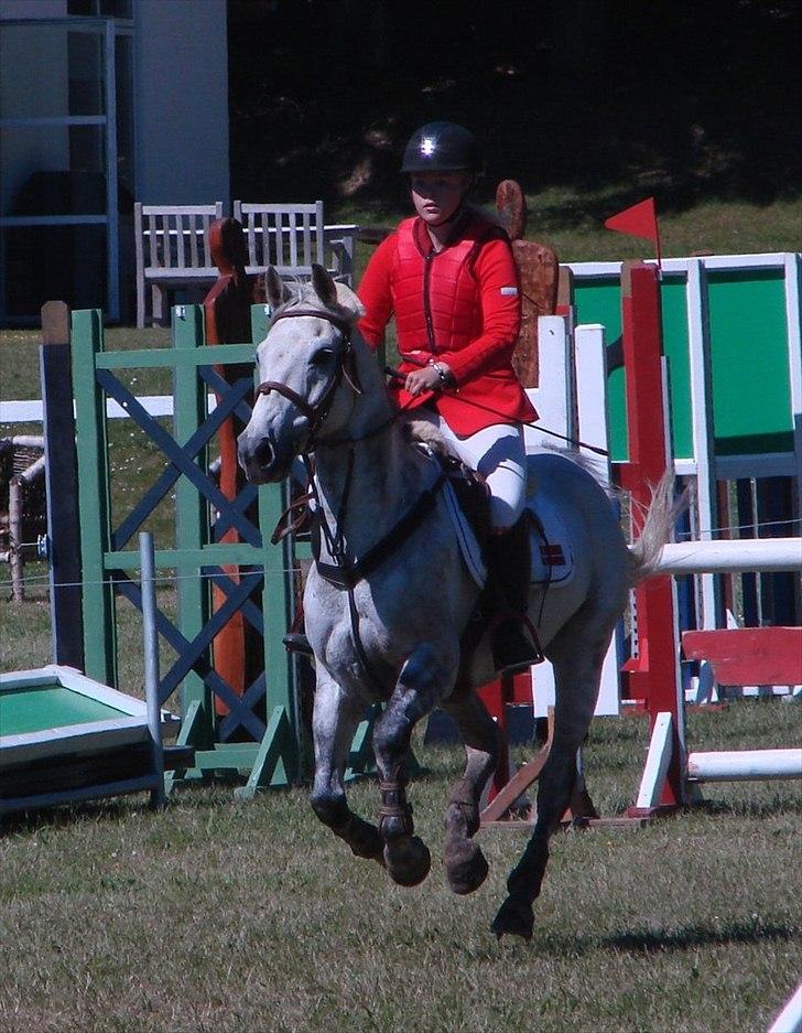 Tysk Sportspony AMERICAN JACKPOT (AMIGO) - Amigo & Mig - Morsø 2011.
Foto: Regitze Andersen. billede 5