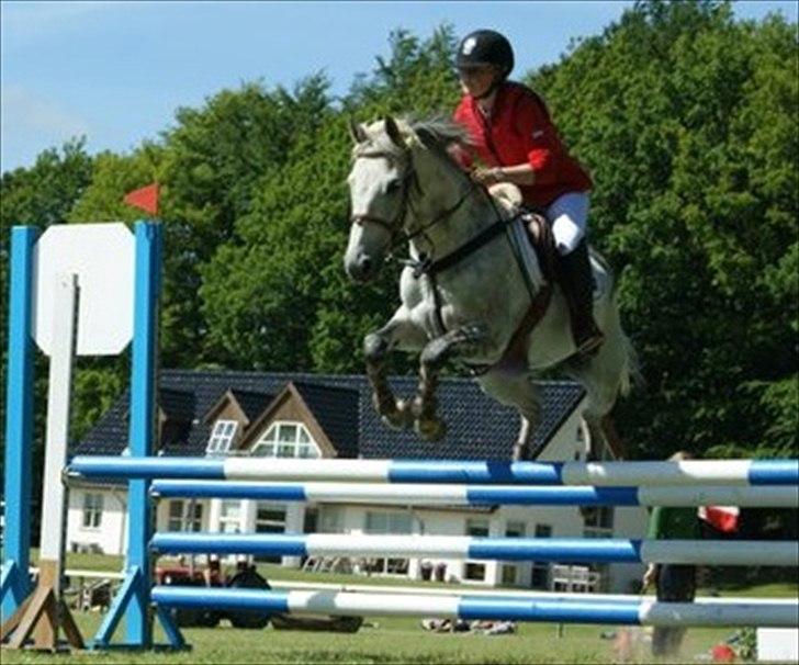 Tysk Sportspony AMERICAN JACKPOT (AMIGO) - Amigo & Mig - Morsø 2011! 
Foto: Regitze Andersen. billede 7