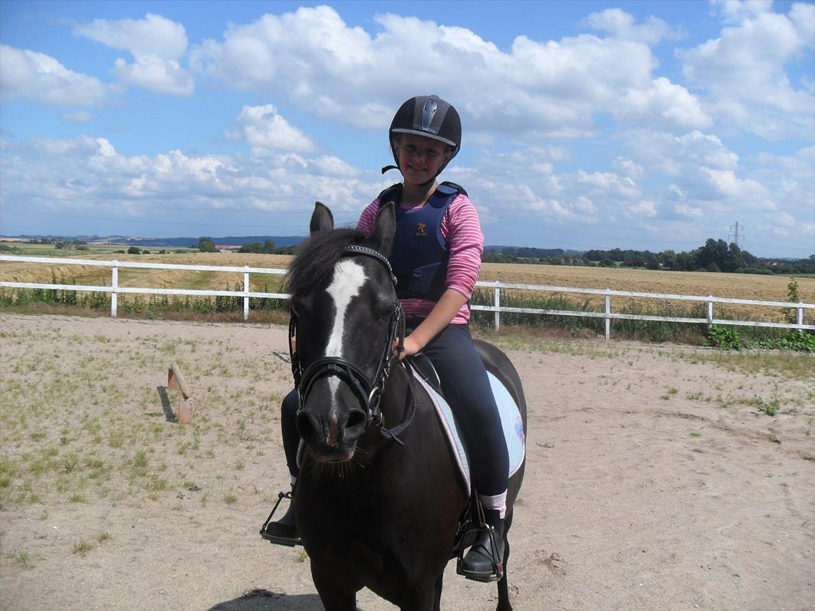 Welsh Mountain (sec A) Dorthealyst Rachel - mig og Rachel billede 2