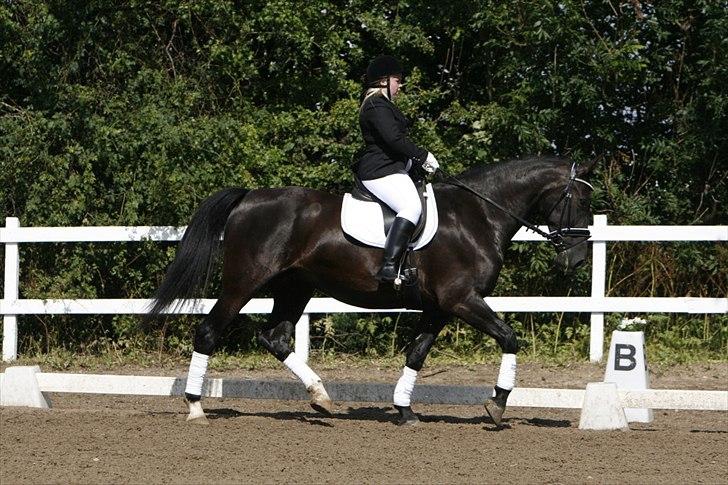 Oldenborg Bell af Vodagergård billede 17