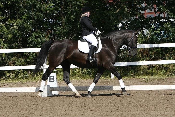 Oldenborg Bell af Vodagergård billede 18
