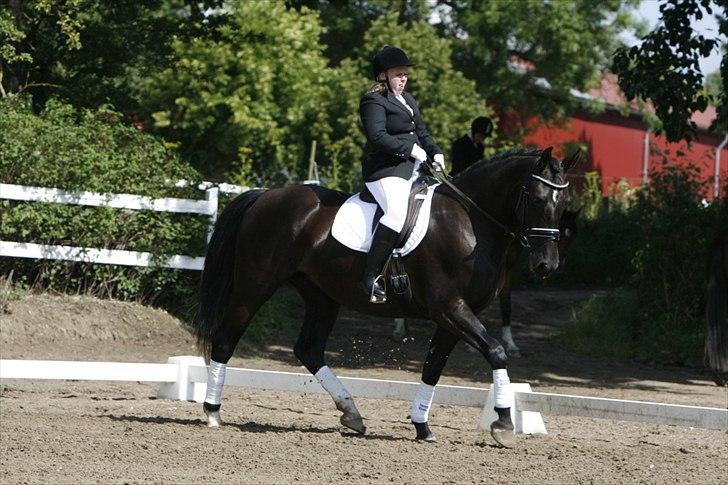 Oldenborg Bell af Vodagergård billede 19