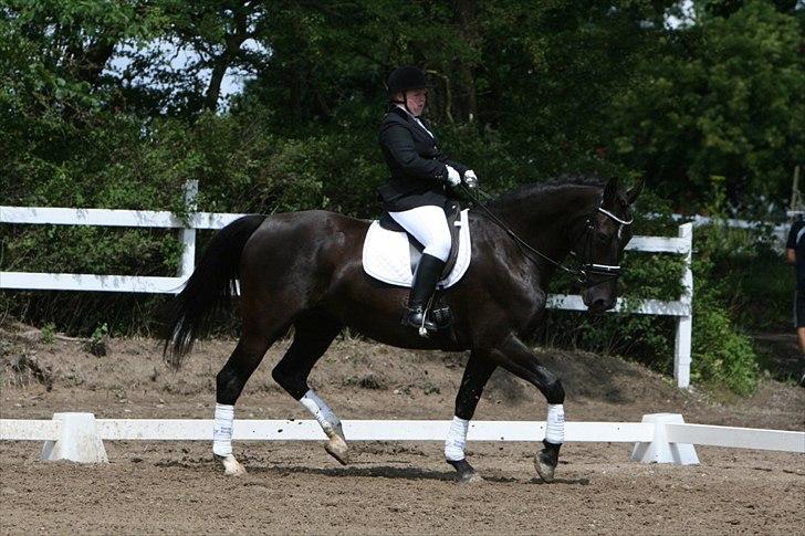Oldenborg Bell af Vodagergård billede 20