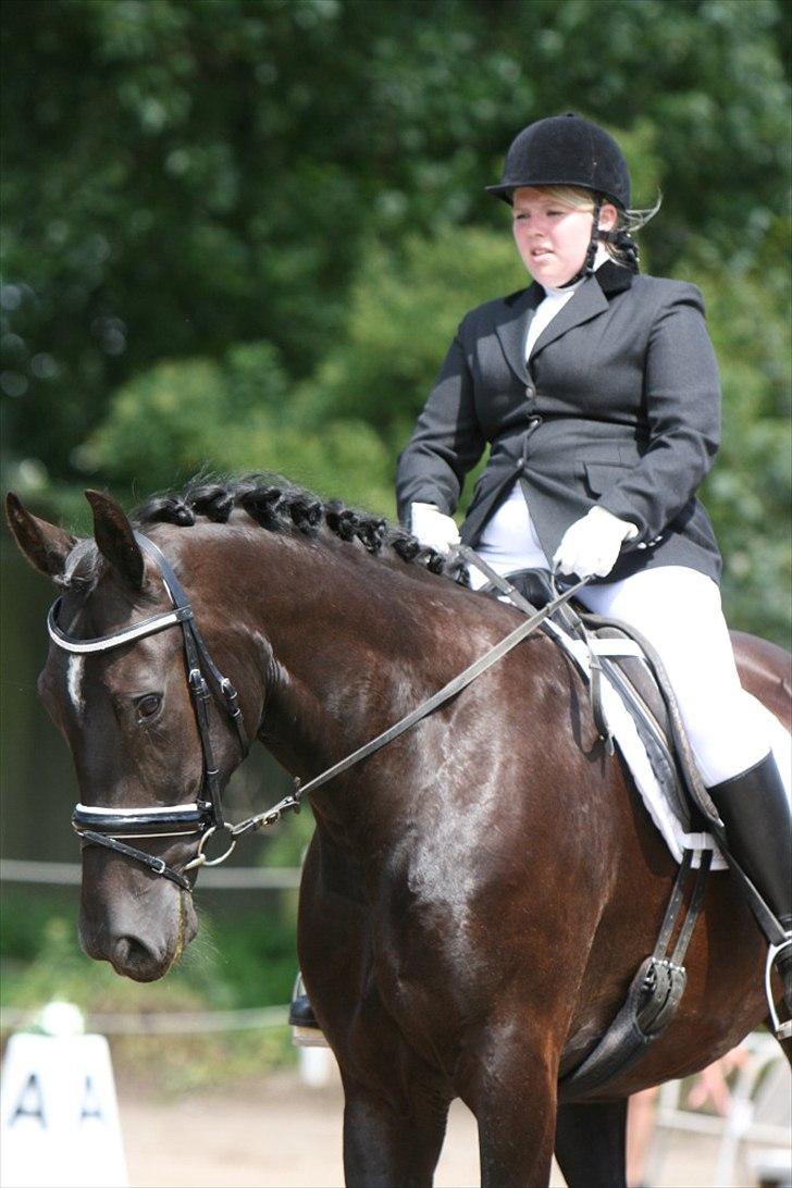Oldenborg Bell af Vodagergård billede 4