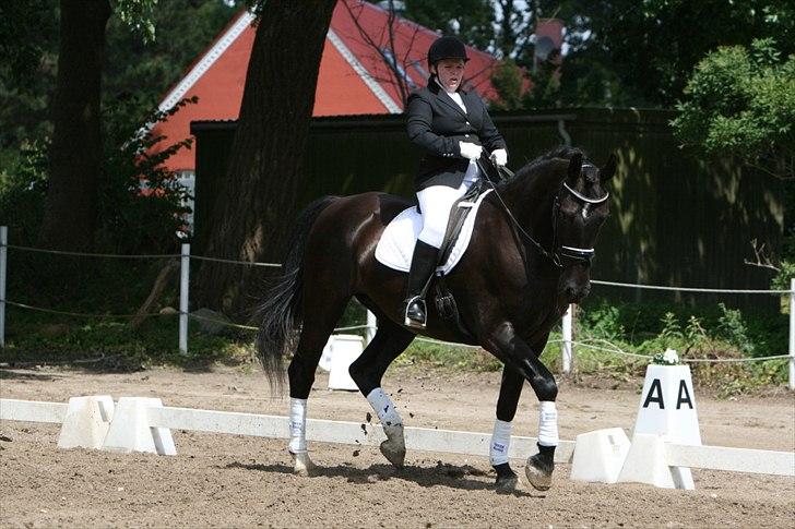 Oldenborg Bell af Vodagergård billede 2