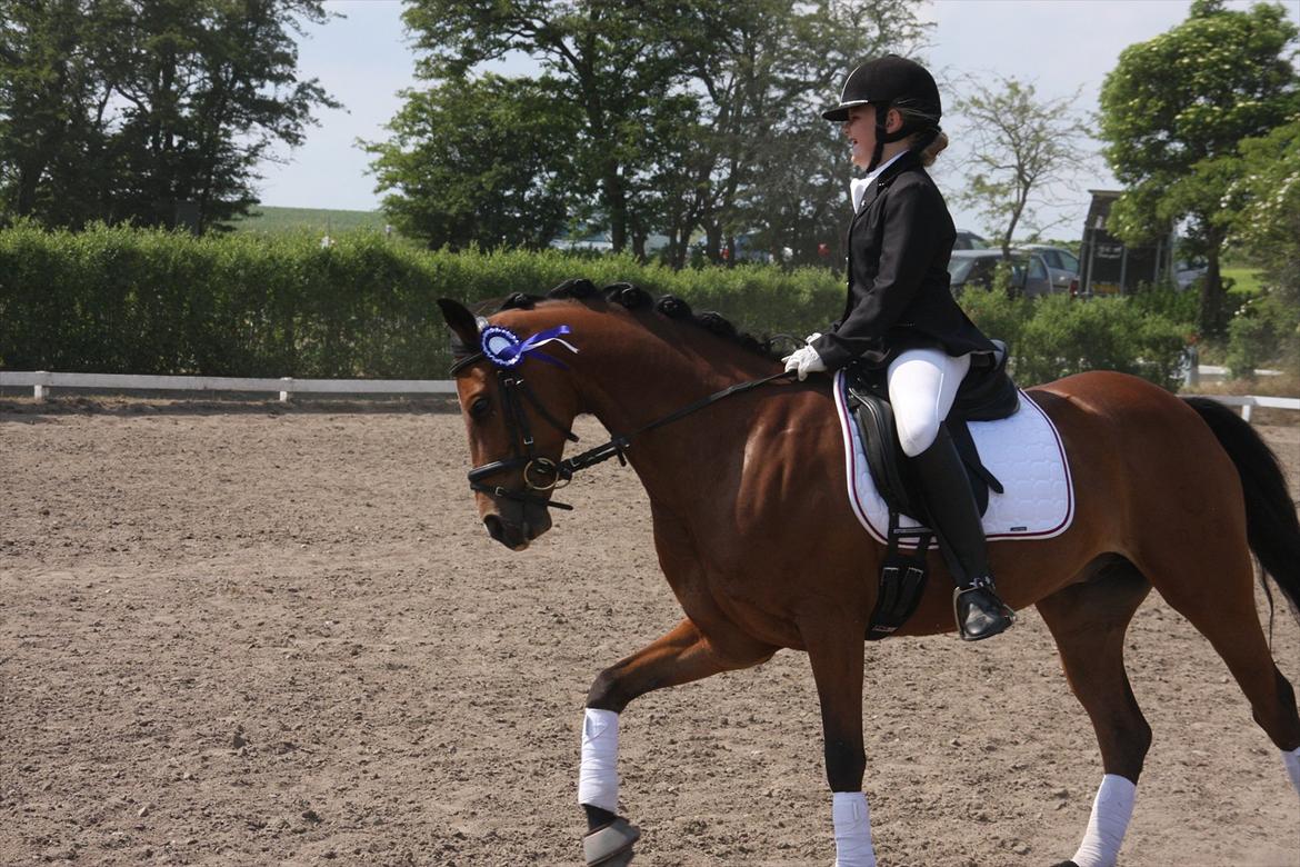 DSP Ambrosius A.M. - Andenplads til Klubmesterskabet år 2011;) billede 2