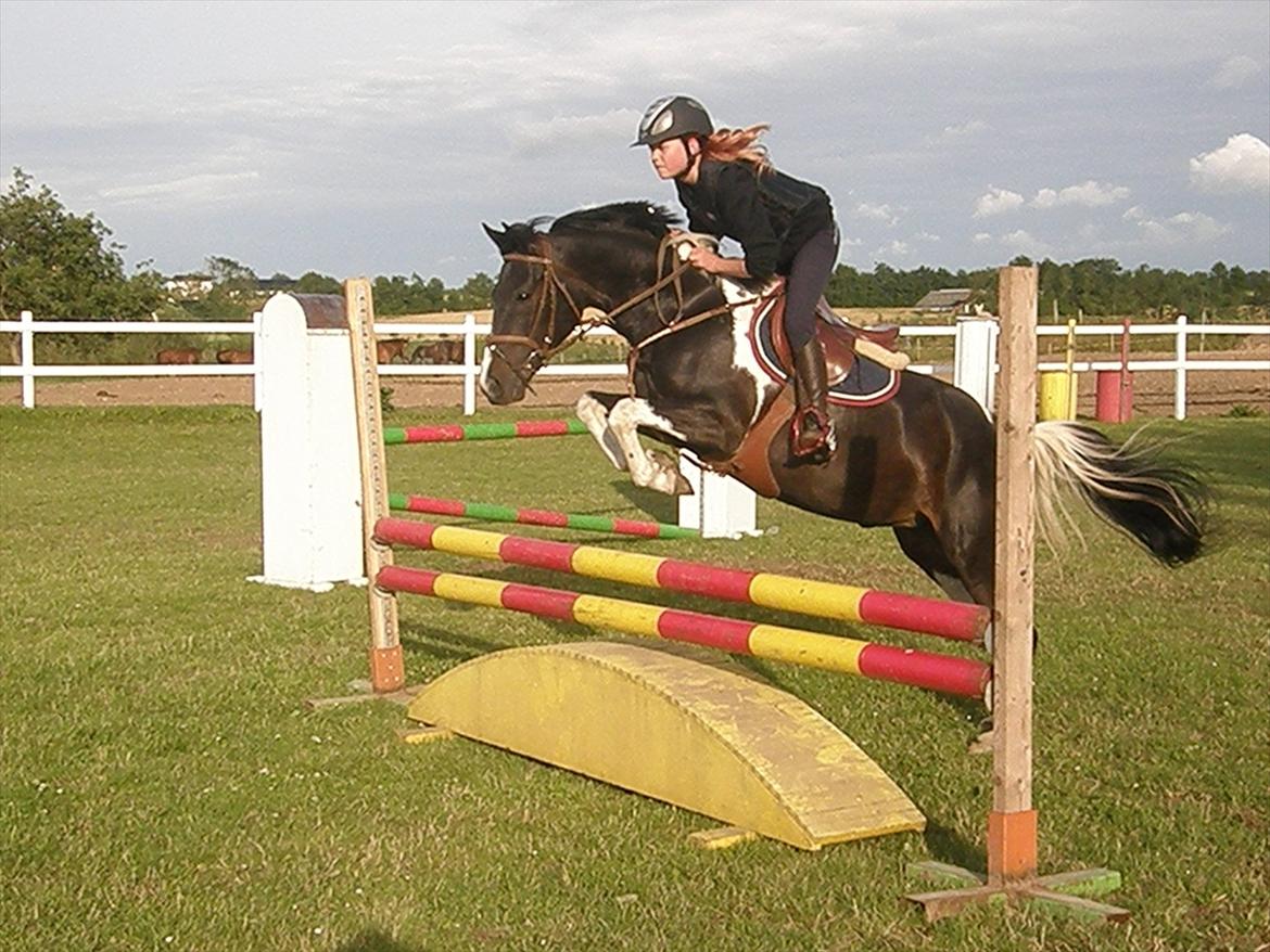 Pinto Faithful´s Xanadu - Xanadu -Træning ved Lars Fedder billede 20