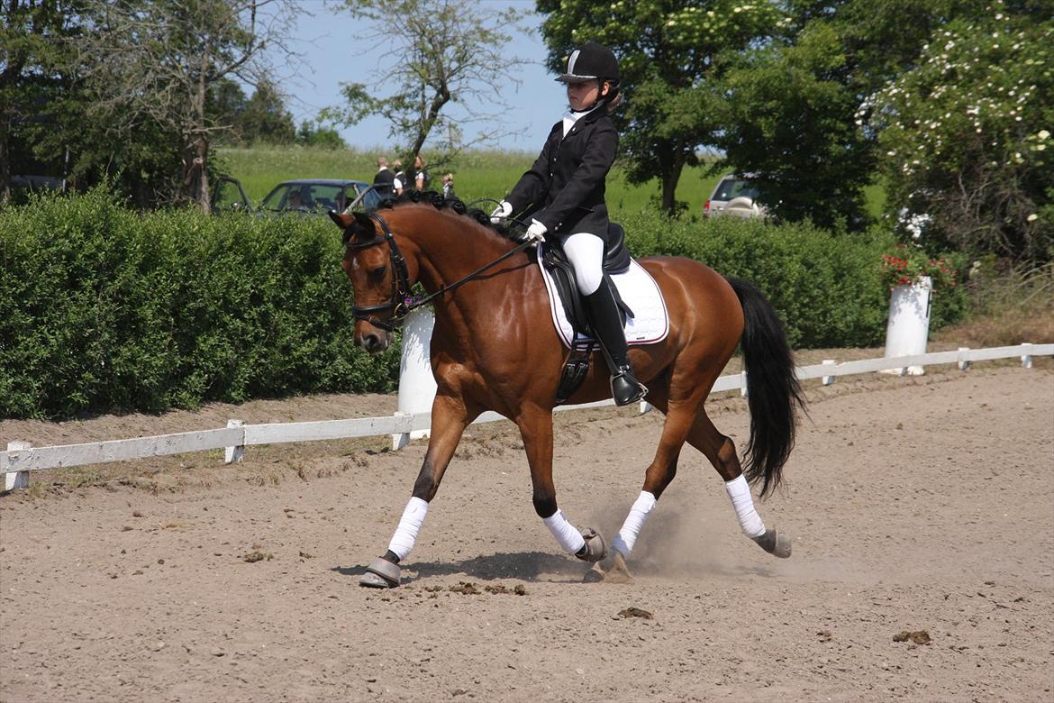 DSP Ambrosius A.M. billede 3