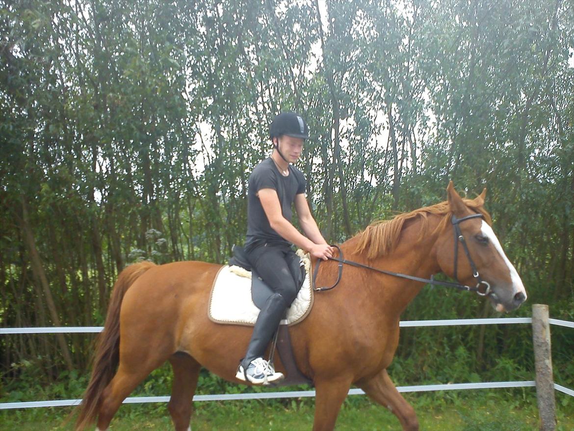 Anden særlig race Isabella (Issa) <3 Solgt :'( - Kæresten og Issa :) billede 27