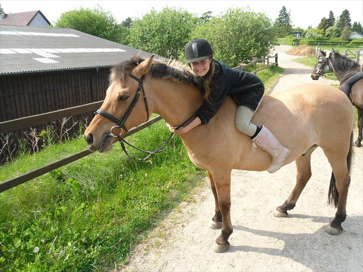 Anden særlig race Titan "Tidligere part" - basse :-) billede 16