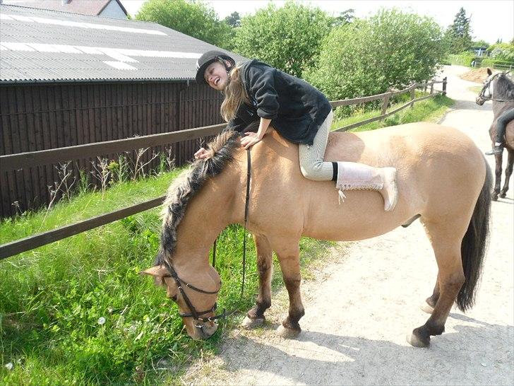 Anden særlig race Titan "Tidligere part" - :-) billede 17