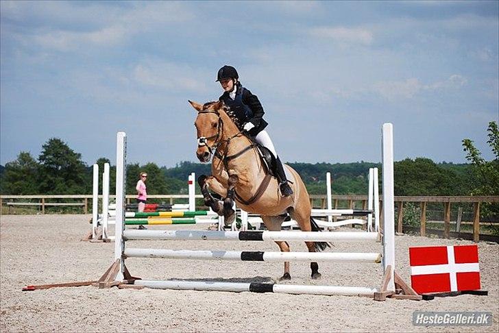 Anden særlig race Titan "Tidligere part" - klubmesterskab 2010.<3 billede 18