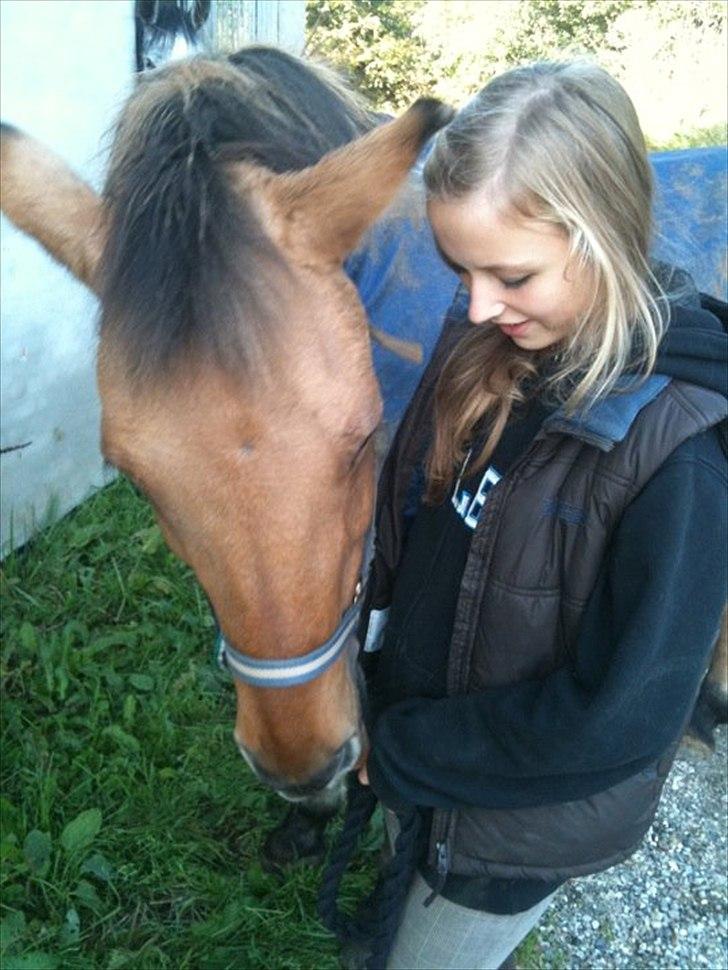 Anden særlig race Titan "Tidligere part" - minskat! billede 19