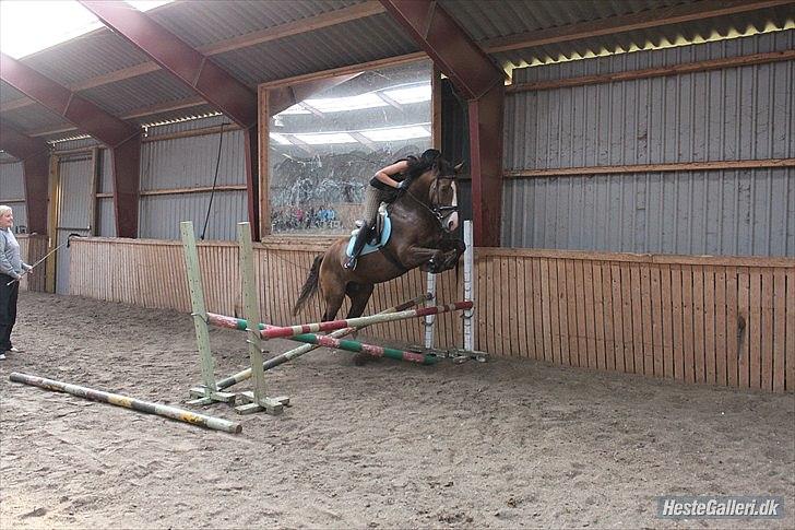 Anden særlig race Jacob<3 - Springunderbisning d. 14/6-2011 Foto: Julie :-) billede 13