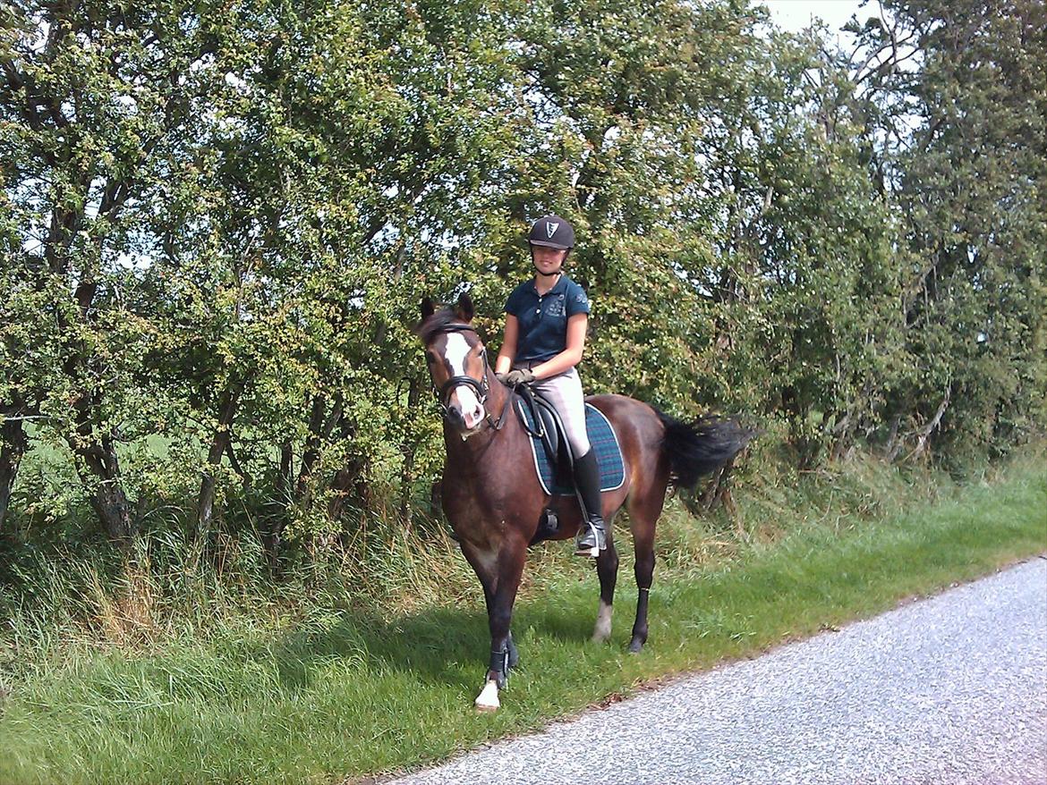 Anden særlig race Kaspar billede 7
