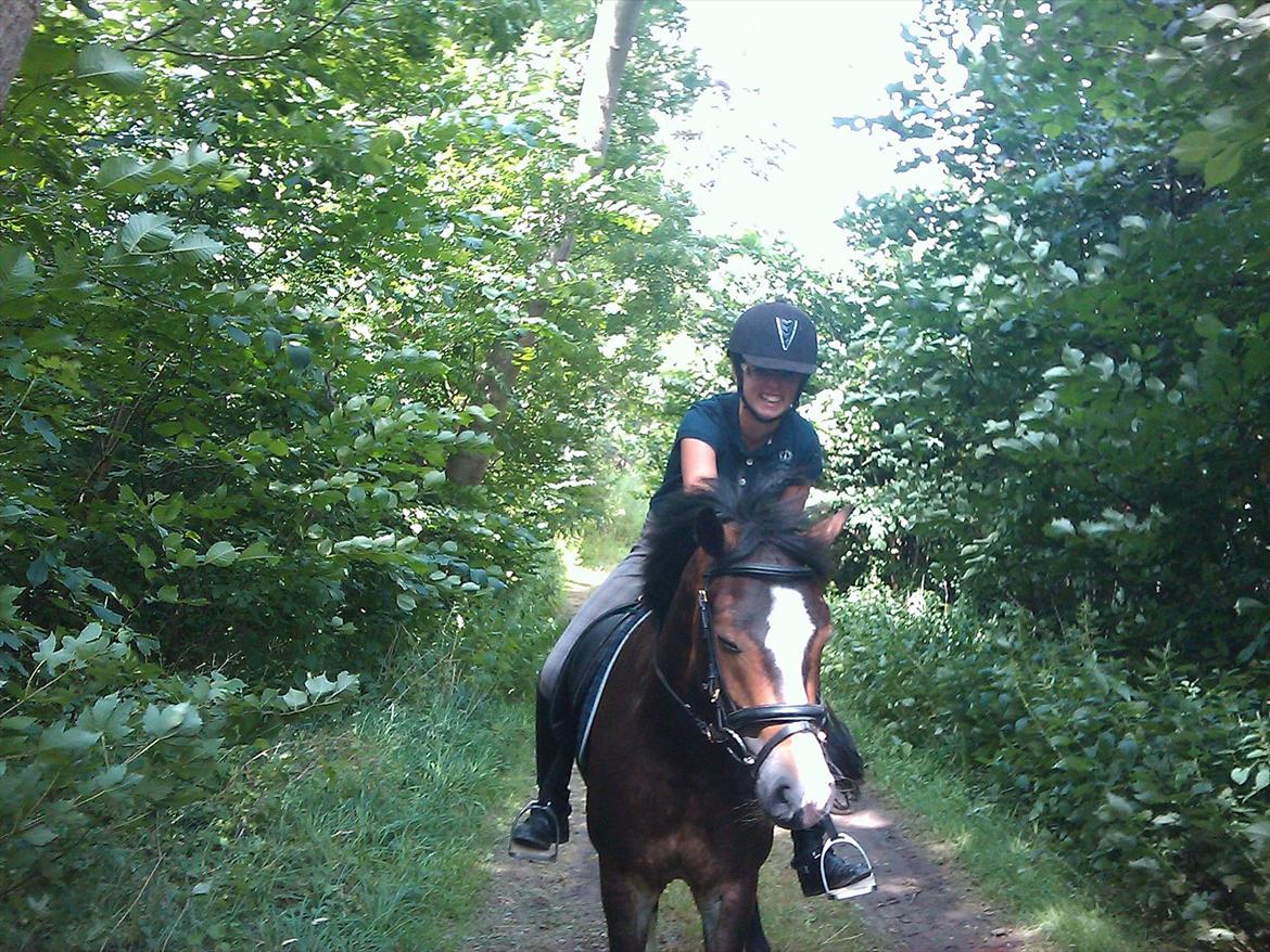 Anden særlig race Kaspar - Ville ikke lige frem med ørene, så man måtte heller lige hjælpe lidt;) billede 3