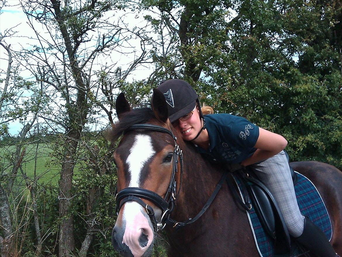 Anden særlig race Kaspar - Troede aldrig jeg skulle komme mig over Silver, men du har virkelig fået mig til at se frem ad, du er dejlig Kasper! 

Silver du er gemt i hjertet og der vil du altid være!:* billede 10